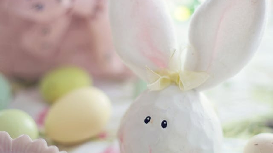 pexels-jill-wellington-1638660-3979240