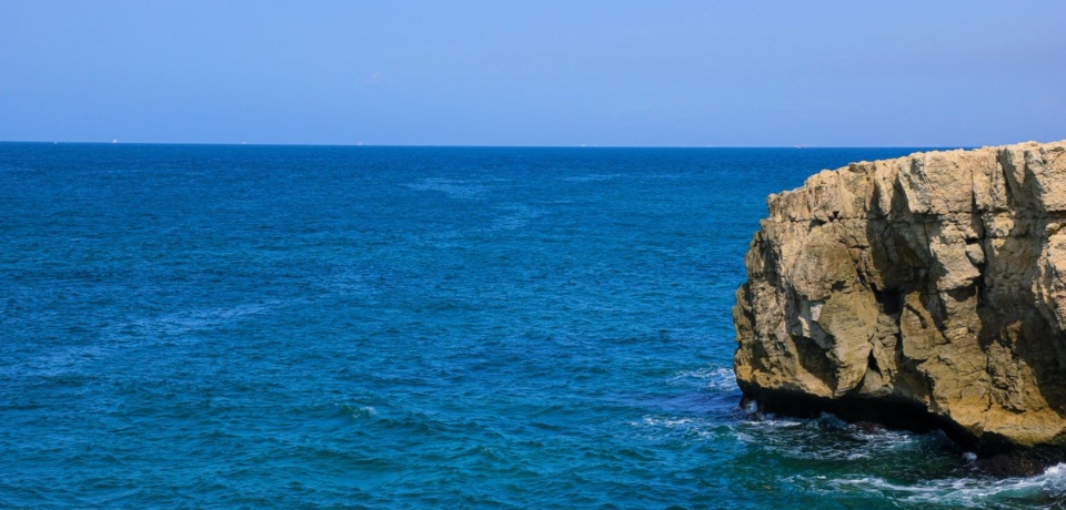 pexels-ghazal-kenarkouhi-294963138-13252862